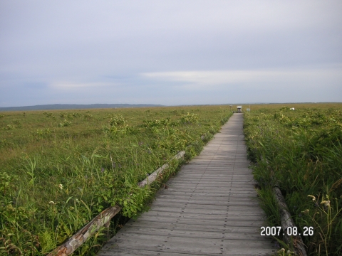 s_PICT0094.jpg